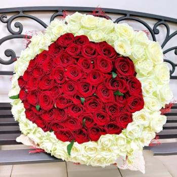 Букет 101 красно-белая роза articul  158166
