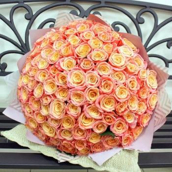 Букет Оранжевые розы Эквадор 101 шт (50 см) №: 161244